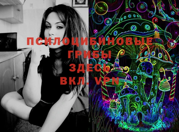 PSILOCYBIN Инта