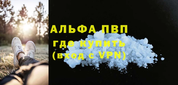 PSILOCYBIN Инта