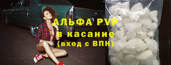 соль ск Каменка
