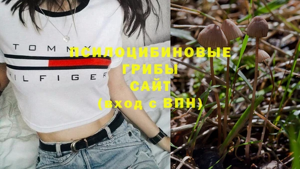 индика Иннополис