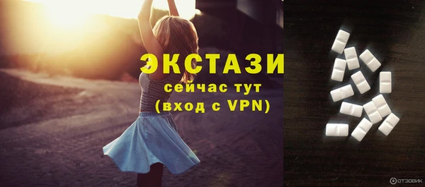 индика Иннополис