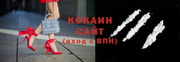 индика Иннополис