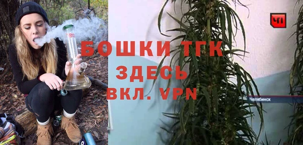 индика Иннополис