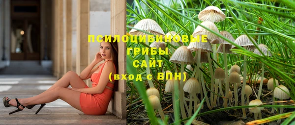 PSILOCYBIN Инта