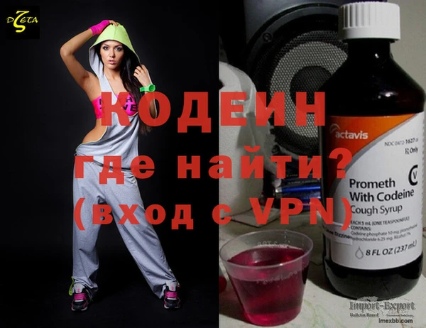 индика Иннополис