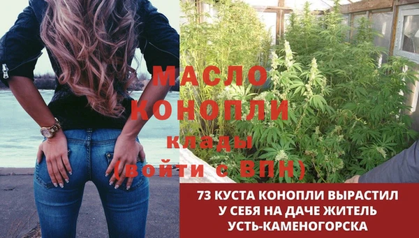 индика Иннополис