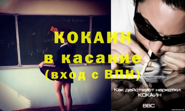 индика Иннополис
