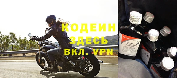 индика Иннополис