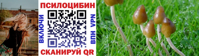 Галлюциногенные грибы Cubensis  Купить  Джанкой 