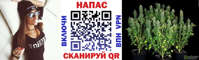 Каннабис White Widow Купить Джанкой